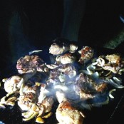 KJKJþè  üû          £    Xd      4n 	 )ÿþ§      W    ·f Va    ©Ï Ò ";ÿÿ1  Î¯ÿÿ% 9  ®  K]ÿÿõ KJKJ 	 	3 "  	 	 	 	 	 	 	"2 "2 "2 "2 "1  	 	 	3 "1  	"Q   	 	 	 	 	"2 "2 3A  	 	 	 	"! 3A "Q "Q "1 fq  	 	 	 	"2 "2  	 	 	 	 	3A Uq 3A fq fa  	 	 	 	 	"2  	 	 	 	 	 	Uq ` 	"Q 3A  	 	 	fq  	"1  	 	 	 	 	"Q "Q Uq "Q "Q "Q  	"Q "Q  	 	 	 	 	 	 	"Q  Uq "Q P "Q Uq Uq "Q p 	  	 	 	 	 	"Q Ua "Q P Ua Uq Uq Uq  	 	p 	 	 	 	 	 	"Q Uq "Q Uq  	 	Uq Uq p 	 	 	 	 	 	 	 p 	fq p 	Uq "Q "Q "Q Uq  	 	 	 	 	 	 	 p 	Uq ` 	Uq Uq Ua fq Uq  	 	 	 	 	 	 	 	 	Ua "Q Uq Uq Uq  	 	   	p 	 	 	 	 	3 " Uq Uq Uq  	 	 	   	 	  	 	 	 	 	 	 	 	 	Uq  	 	 	 	p 	"1  	 	 	 	 	 	 	 	 	Uq  	 	 	 	 	 	 	 	 	 	 	 	 	 	 	 	3  	 	 	 	 	KJKJz ÿÿ  X§ S ÿð  Ïü ú   y             G!   xM ai    B¹                         ´à    L|             W~ ÿë  ·F W ÿë  ·B W ÿë  ·B W ÿë  ·B                             KJ   FAFA qh  ¾  Fß8  p+  pà$  p$Ú  iGV  bn  [O  T£J  MÇH  FÚ³                                                                                                                     FAFA  ?  .{FAFA