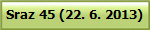 Sraz 45 (22. 6. 2013)